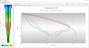 Temperature Profile | CTEMP Screenshot