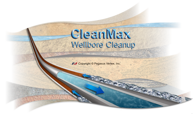 CleanMax - Wellbore Cleanup Software