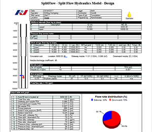 Report | SplitFlow Screenshot