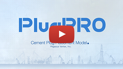 Video: PlugPRO - Cement Plug Placement Model